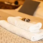 Odskocznia - Balia, Sauna Villa Wisła