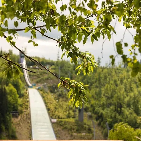 Odskocznia - Balia, Sauna Vila Visla