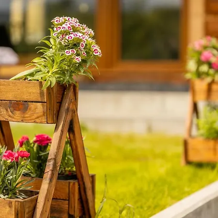 Odskocznia - Balia, Sauna Wisla