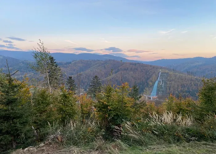 Odskocznia - Balia, Sauna Visla
