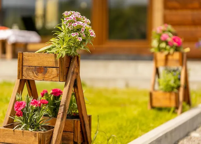 Odskocznia - Balia, Sauna Visla