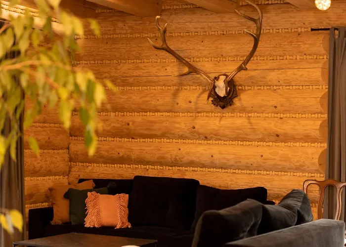 Odskocznia - Balia, Sauna וילה